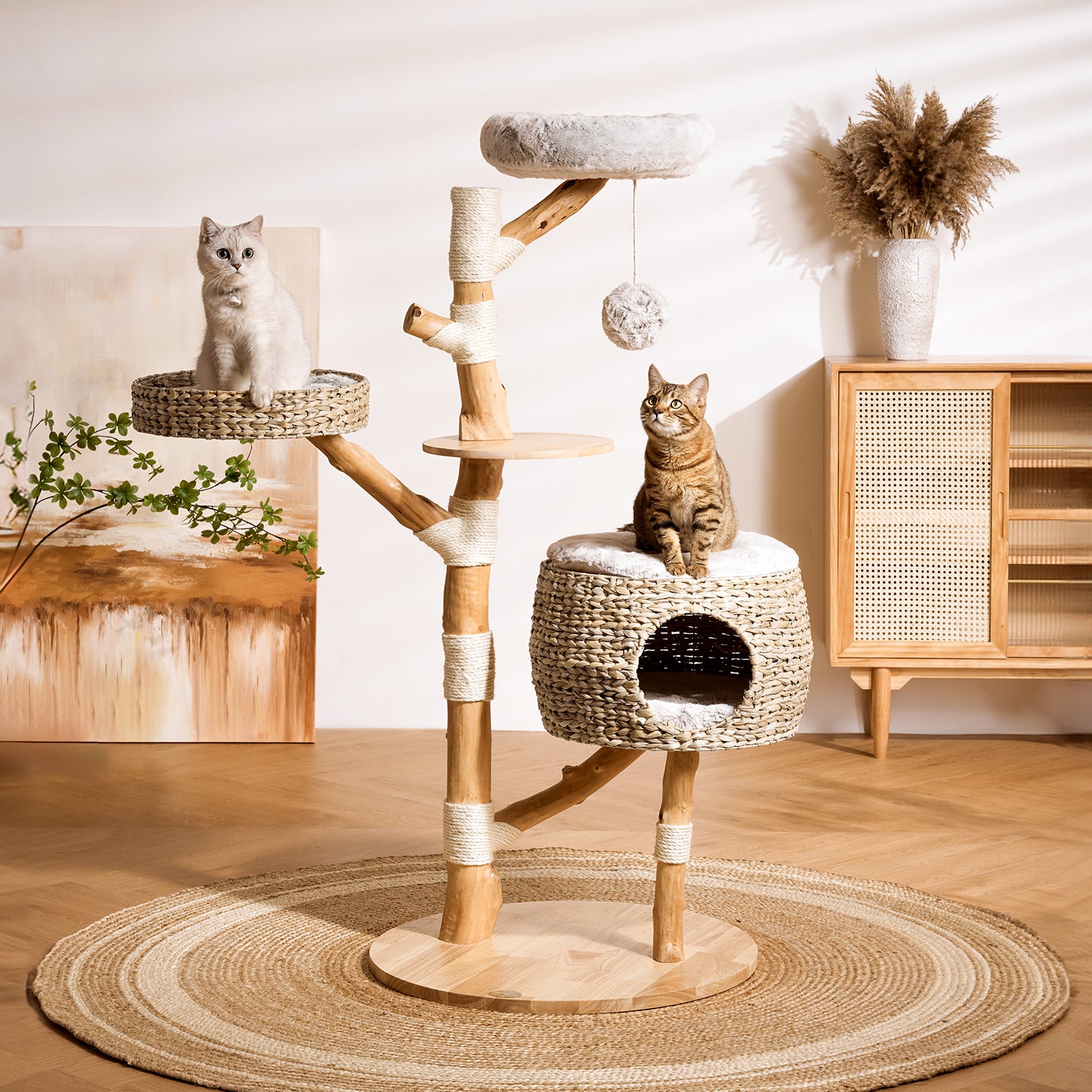 CAT TREE KZLAA