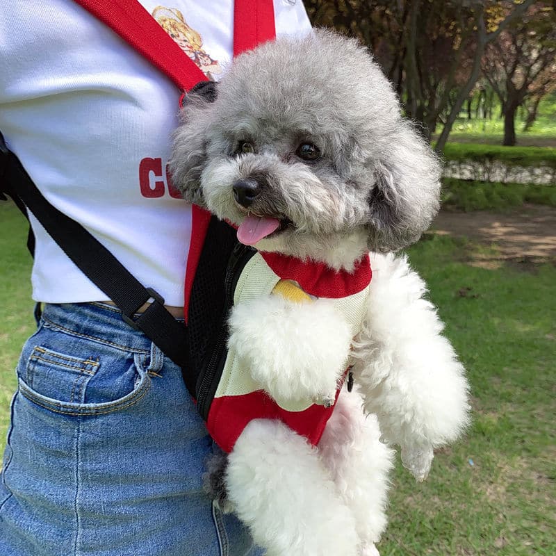 Dog Cat Backpack Harness